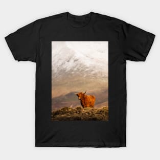 A Ginger Highland Cow in Winter Wonderland T-Shirt